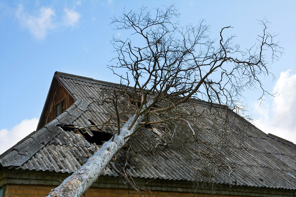 Storm Damage