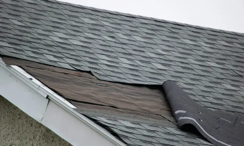 Roof & Window Services Near Grove City